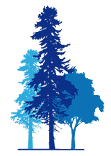 Blue Forest Company S.A.L.